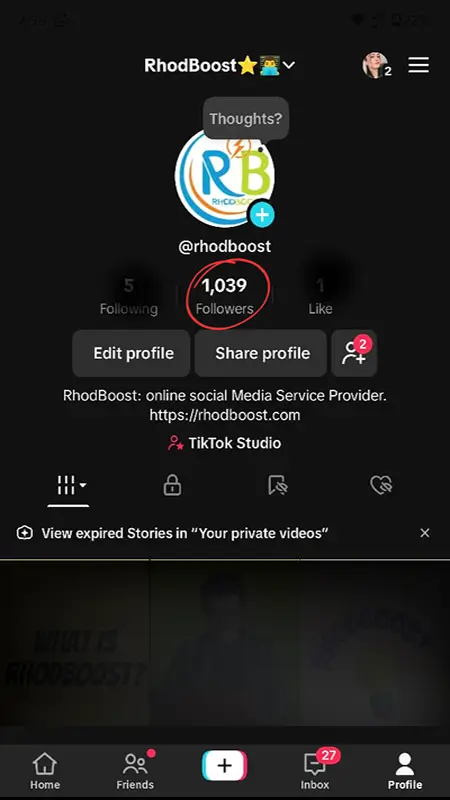 TikTok Profile Dashboard